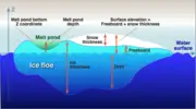 thermohaline ocean system