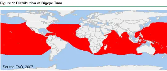 Bigeye Tuna distribution map