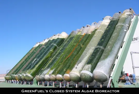 algae bioreactor system 