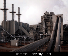 biomass electricity