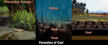 Coal Formation