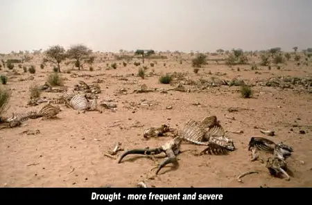 Drought