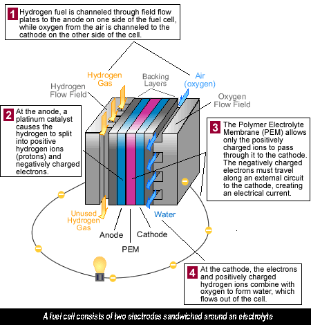 Hydrogen Fuel Cell