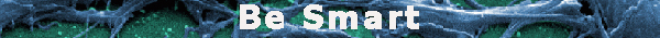 Be Smart title