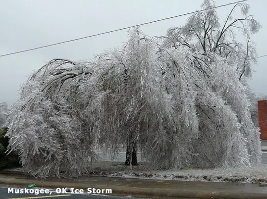 Muskogee, OK Ice Storm 