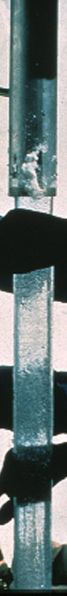 ice core