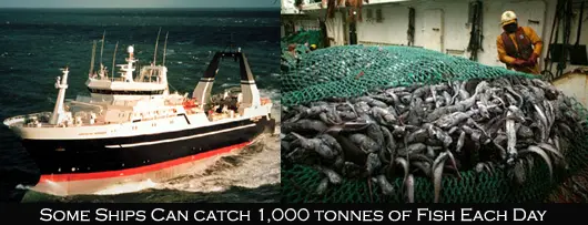 Overfishing, large trawler and catch