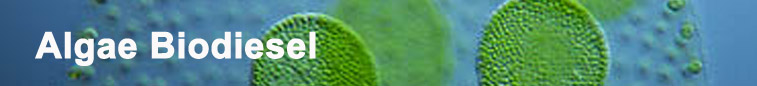 Global Greenhouse Warming.com newsletter