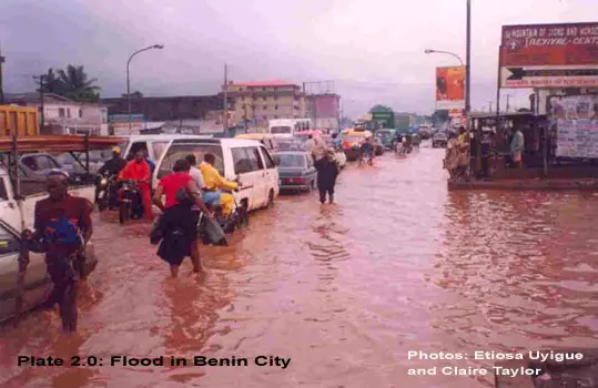 Niger Nenin City Flood