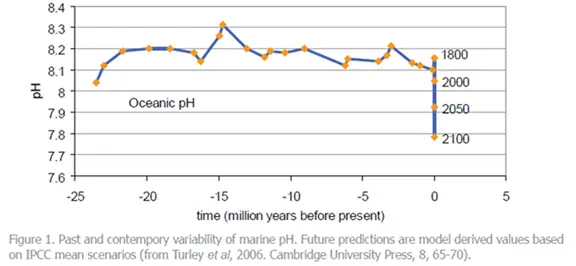 Ocean_pH.jpg