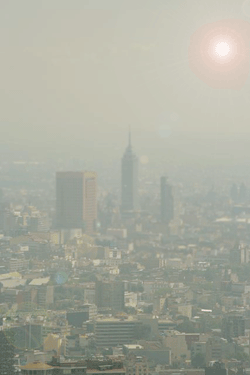 city smog