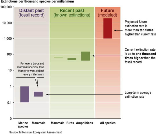 Species Extinction