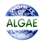 world of algae