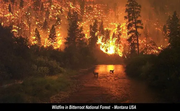 Wildfire Bitterroot National Park