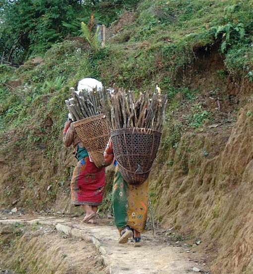 Women in environment