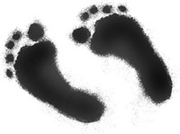 carbon footprints