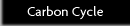 Carbon Cycle