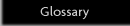 Glossary