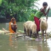 flood-of-bangladesh-1988-21619654
